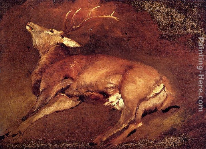 Study Of A Dead Stag painting - Sir Edwin Henry Landseer Study Of A Dead Stag art painting